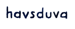 havsduva